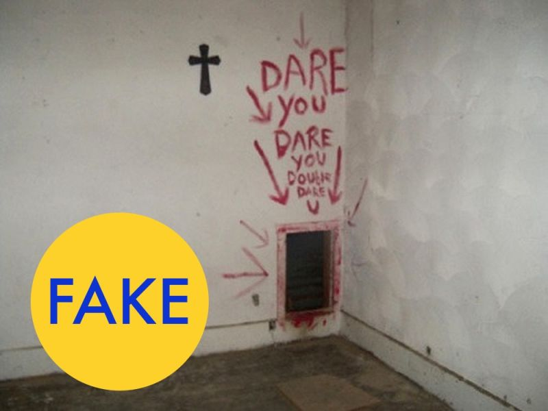 Illustration for article titled 76 Viral Images From 2015 That Were Totally Fake